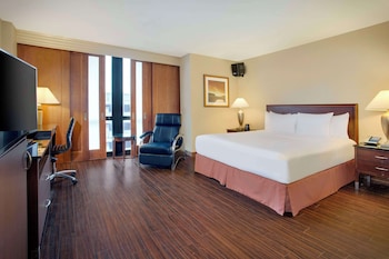 Room, 1 King Bed, Accessible, Allergy Friendly