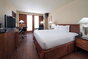 Room, 1 King Bed, Accessible, Bathtub
