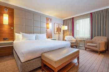 Executive Room, 1 King Bed