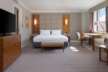 Room, 1 King Bed with Sofa bed
