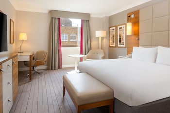 Room, 1 King Bed