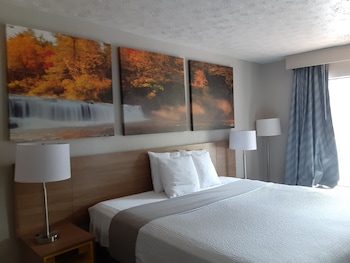 Standard Room, 1 King Bed, Accessible