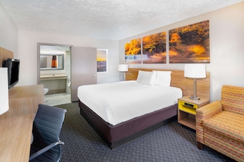 Suite, 1 King Bed, Refrigerator