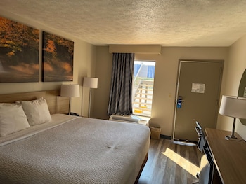 Standard Room, 1 King Bed, Accessible
