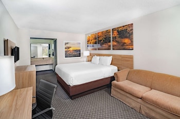 Suite, 1 King Bed, Refrigerator