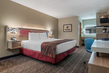 Standard Room, 1 King Bed, Accessible, Bathtub