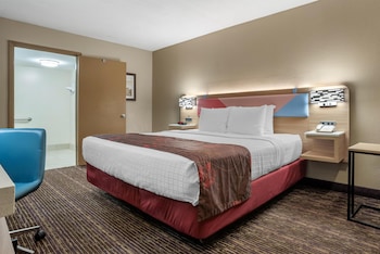 Standard Room, 1 King Bed, Accessible, Non Smoking
