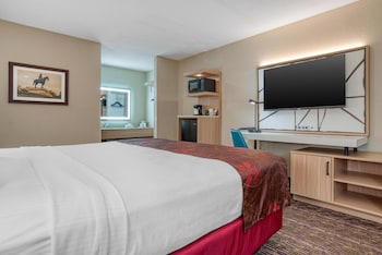 Standard Room, 1 King Bed, Accessible, Bathtub