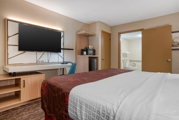 Standard Room, 1 King Bed, Accessible, Non Smoking