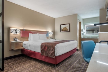 Standard Room, 1 King Bed, Non Smoking, Refrigerator & Microwave (with Single Sofabed;Larger Room)