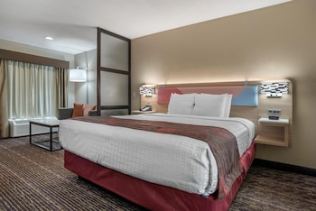 Standard Room, 1 King Bed, Non Smoking, Refrigerator & Microwave (with Single Sofabed;Larger Room)