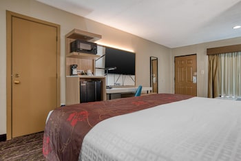 Standard Room, 1 King Bed, Non Smoking, Refrigerator & Microwave (with Single Sofabed;Larger Room)