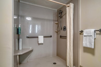 Standard Room, 1 King Bed, Accessible, Non Smoking