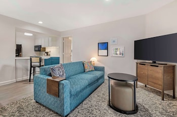 Suite, 1 Queen Bed with Sofa bed (One Bedroom)