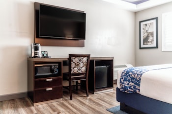 Room, 1 Queen Bed