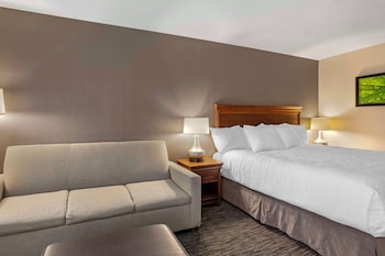 Standard Room, 1 King Bed, Microwave (with Sofabed)