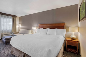 Standard Room, 1 King Bed, Microwave (with Sofabed)