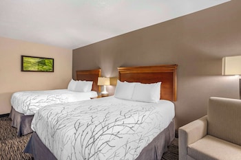 Standard Room, 2 Queen Beds, Microwave
