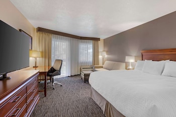 Standard Room, 1 King Bed, Microwave (with Sofabed)