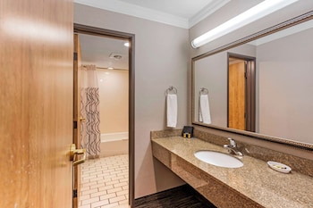 Standard Room, 1 King Bed, Jetted Tub (with Sofabed)