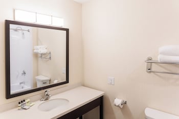 Executive Suite, 1 Bedroom