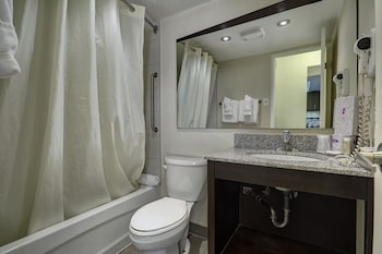 Deluxe One Bedroom Suite