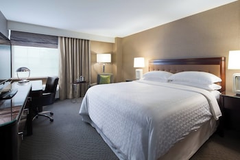 Room, 1 King Bed (Mobility/Hearing Accessible, Tub)