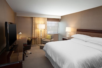 Room, 1 King Bed (Mobility/Hearing Accessible, Tub)