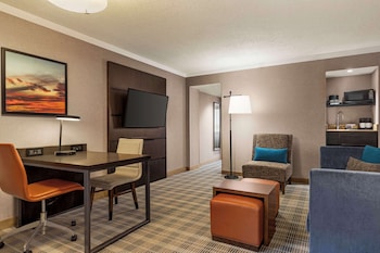 Suite, 1 King Bed with Sofa bed