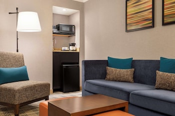 Suite, 1 King Bed with Sofa bed