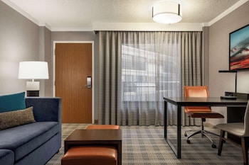 Suite, 1 King Bed with Sofa bed