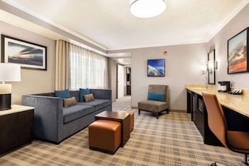 Suite, Accessible, Non Smoking