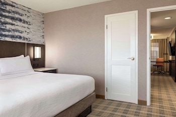 Suite, 1 King Bed with Sofa bed