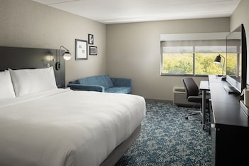 Room, 1 King Bed with Sofa bed, Hearing Accessible