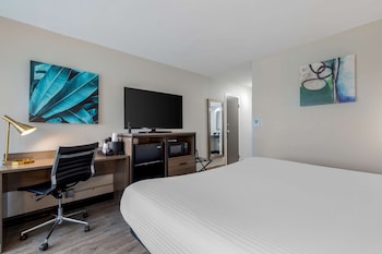 Standard Room, 1 King Bed, Refrigerator & Microwave