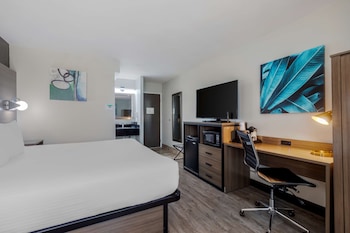 Standard Room, 1 King Bed, Non Smoking, Refrigerator & Microwave
