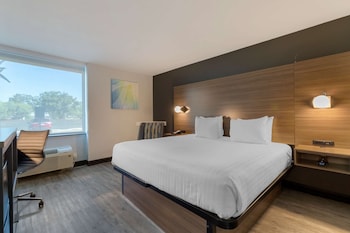 Standard Room, 1 King Bed, Refrigerator & Microwave