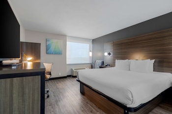Standard Room, 1 King Bed, Non Smoking, Refrigerator & Microwave