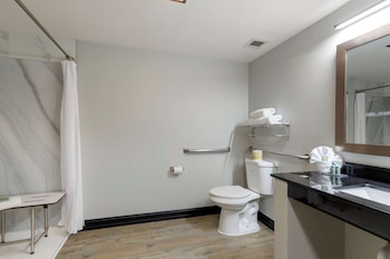Standard Room, 1 King Bed, Refrigerator & Microwave
