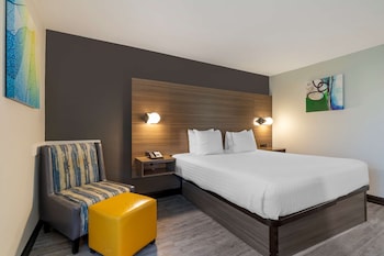 Standard Room, 1 King Bed, Refrigerator & Microwave