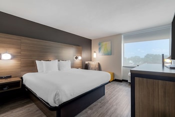 Standard Room, 1 King Bed, Refrigerator & Microwave