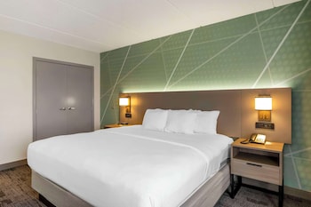Room, 1 King Bed, Accessible, Non Smoking