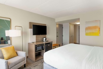 Room, 1 King Bed, Accessible, Non Smoking