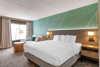 Standard Room, 1 King Bed, Non Smoking (Jacuzzi Tub)