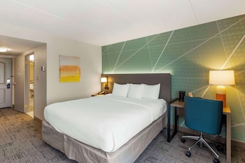 Room, 1 King Bed, Accessible, Non Smoking
