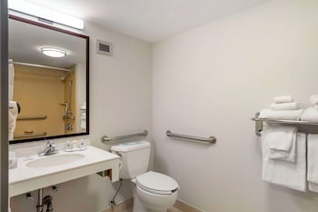 Room, 1 King Bed, Accessible, Non Smoking