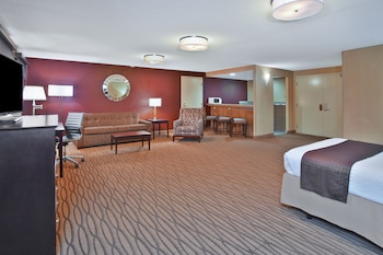 Standard Room, 1 King Bed with Sofa bed