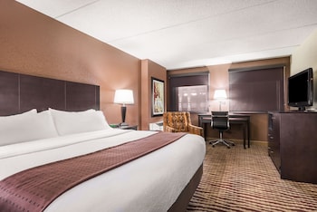 Standard Room, 1 King Bed, Accessible (Communication, Accessible Tub)