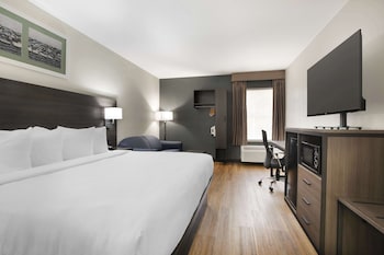 Standard Room, 1 King Bed, Non Smoking (with Single Sofabed)