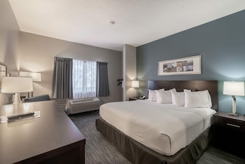 Room, 1 King Bed, Non Smoking